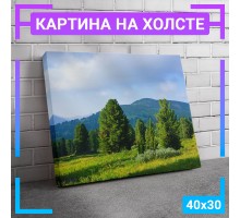 Картина интерьерная на холсте "Поляна на фоне гор" 40х30 см