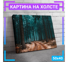 Картина интерьерная на холсте "Тропинка в лесу" 50х40 см