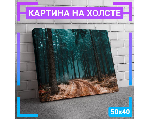 Картина на холсте "Тропинка в лесу" 50x40 см