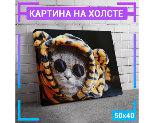 Картина на холсте "Кот Британец" 50x40 см