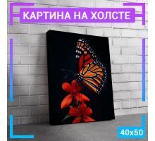 Картина интерьерная на холсте "Бабочка" 40х50 см