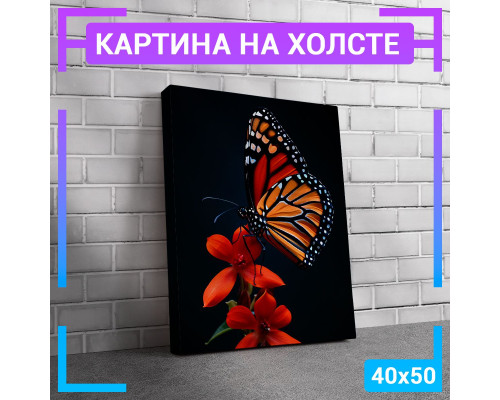 Картина "Бабочка" на холсте 40х50 см