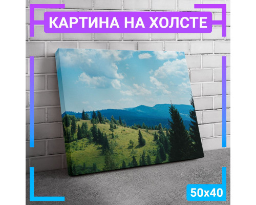 Картина "Хвойный лес" на холсте, 50x40 см.