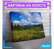 Картина интерьерная на холсте "Поляна у горы" 40х30 см