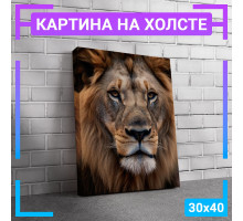 Картина интерьерная на холсте "Лев " 30х40 см