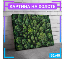 Картина интерьерная на холсте "Хвойный лес" 50х40 см