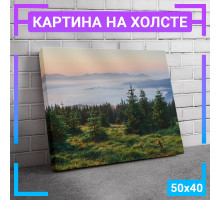 Картина интерьерная на холсте "Лес, горы" 50х40 см