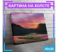 Картина интерьерная на холсте "Летний пейзаж" 40х30 см