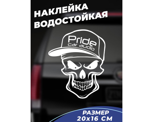 Наклейка на авто "Череп Pride" 20x16