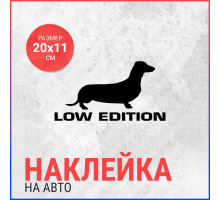 Наклейка на авто 20х11 Low Edition