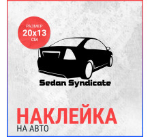 Наклейка на авто 20х13 Ford Focus Sedan