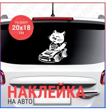 Наклейка на авто 20x18 Кот CA