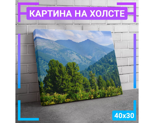 Картина на холсте "Кедровый лес" 40x30 см