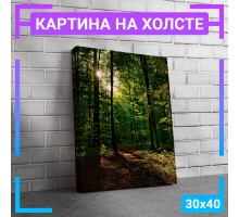 Картина интерьерная на холсте "Солнечный свет" 30х40 см