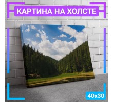 Картина интерьерная на холсте "Вид на лес" 40х30 см