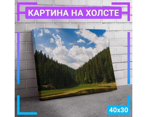 Интерьерная картина "Вид на лес" 40x30 см