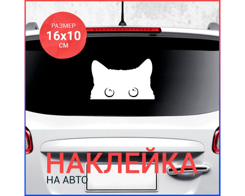 Наклейка на авто: Кот-шпион 16x10, милый и загадочный