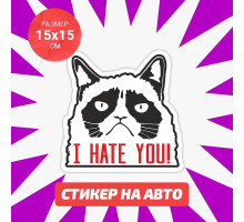 Наклейка на авто 15х15 Grumpy cat