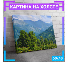 Картина интерьерная на холсте "Кедровый лес" 50х40 см