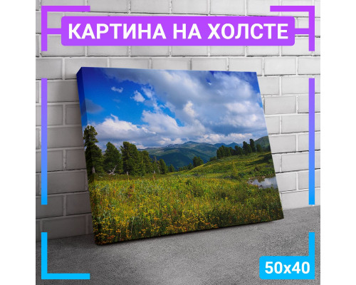 Картина "Поляна у горы" на холсте 50х40 см.