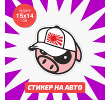 Наклейка на авто 15х14 Pig in cap