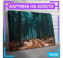 Картина интерьерная на холсте "Тропинка в лесу" 70х50 см