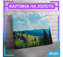 Картина интерьерная на холсте "Хвойный лес" 40х30 см