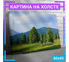 Картина интерьерная на холсте "Поляна на фоне гор" 60х40 см