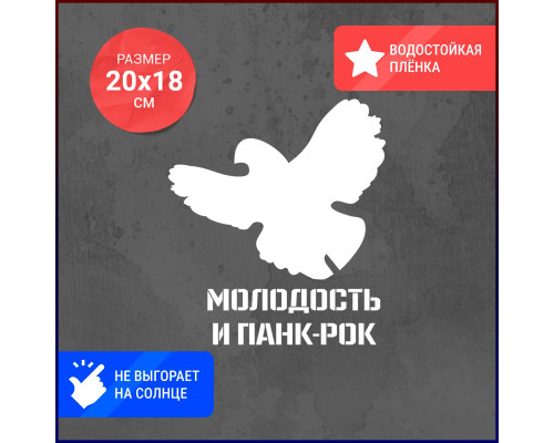 Наклейка "Молодость и панк-рок" для автомобиля 20x18