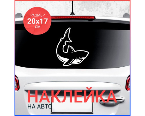 Наклейка на авто: Акула вар4 20х17