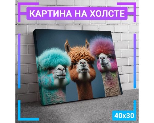 Картина на холсте "Три ламы" 40x30 см