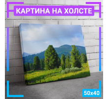 Картина интерьерная на холсте "Поляна на фоне гор" 50х40 см