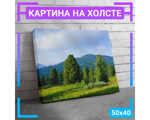 Картина "Поляна и горы" на холсте 50х40 см