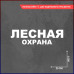 Наклейка на авто "Лесная охота" - стильный аксессуар для вашего автомобиля!